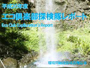 2008年報告書